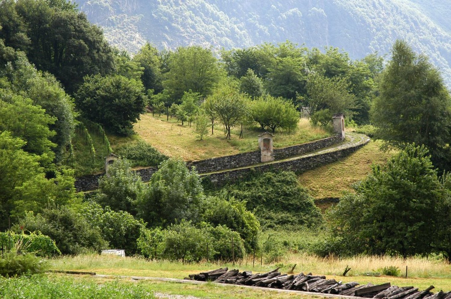 Valchiavenna-Foto