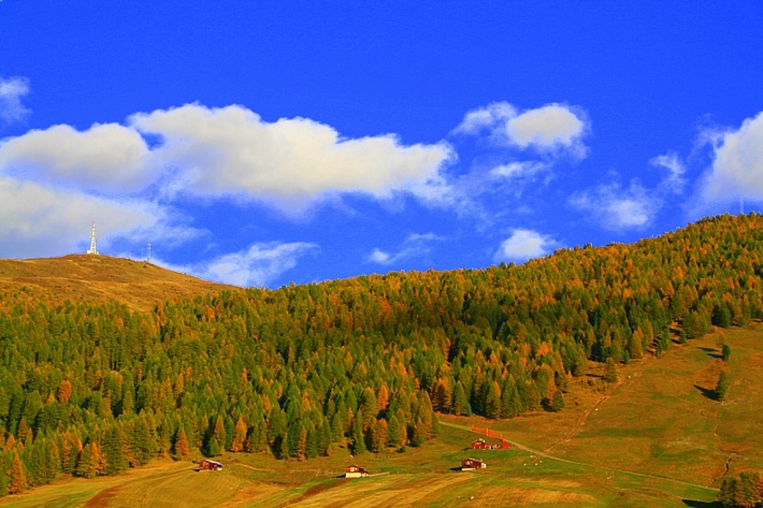 Alta Valtellina-Foto