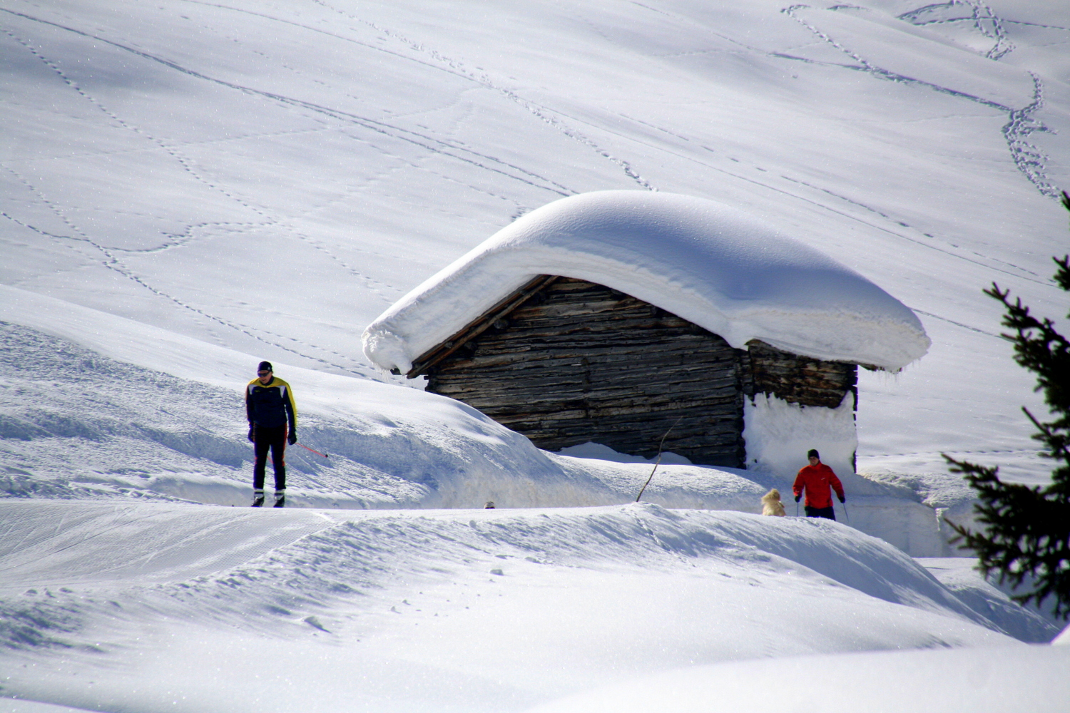 Alta Valtellina-Foto