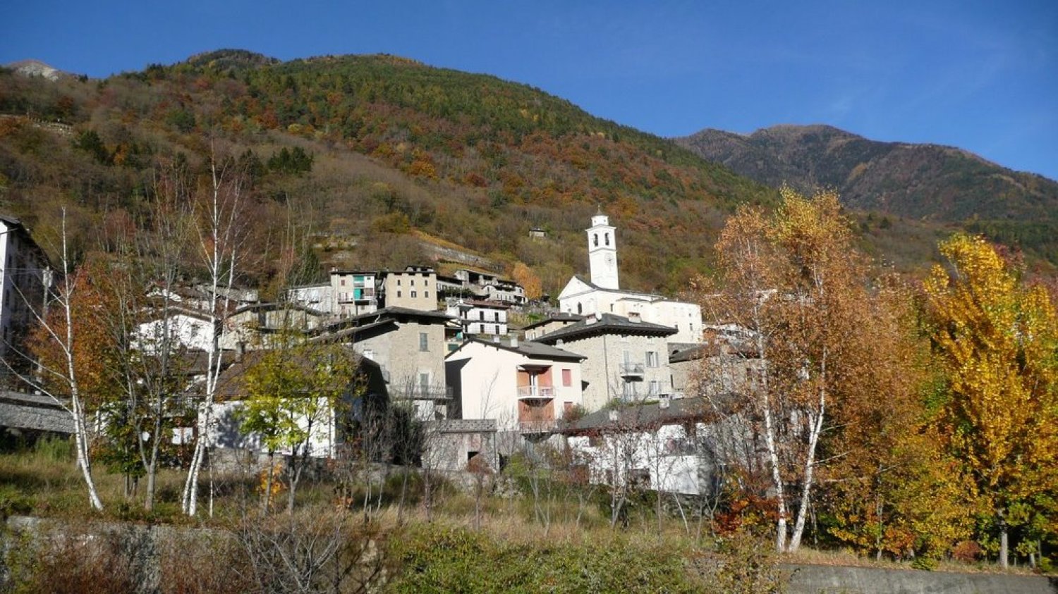 Postalesio                            -Foto