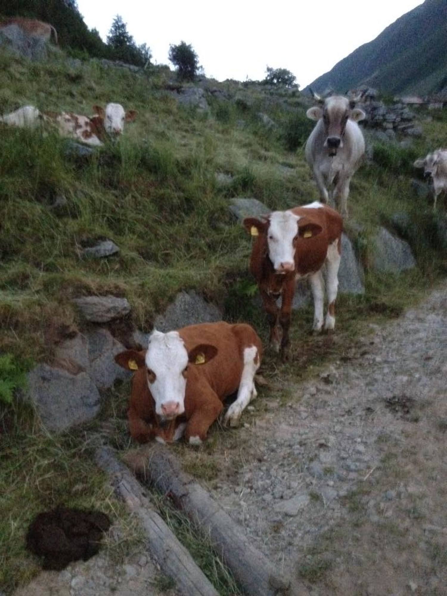 Azienda Agricola Libera-Foto
